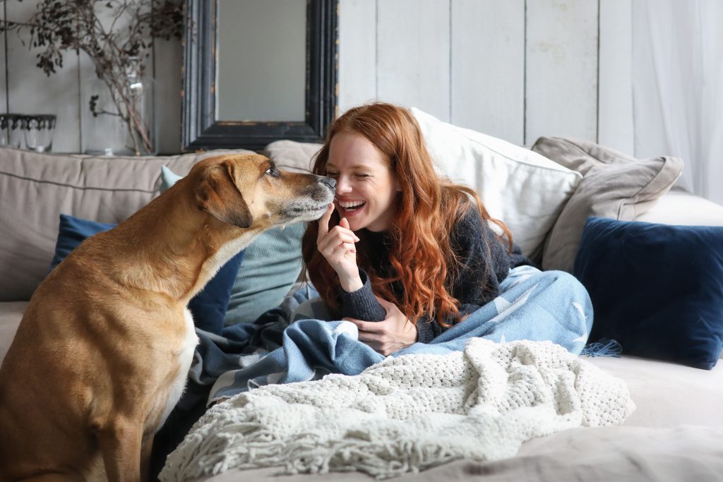 Frau lacht mit ihrem treuen Hund auf dem Bett.