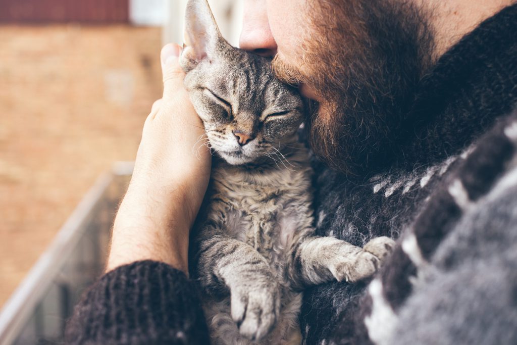 Innige Umarmung zwischen Mann und schlafender Katze.